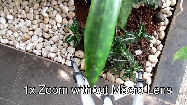 Macro Lens with Compact zoom camera (Samsung WB 350F) смотреть онлайн