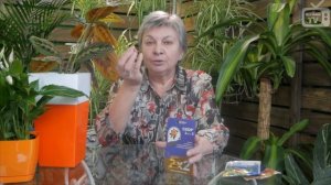 Парша на груше и яблоне ➡ обработка от болезней. Как бороться с болезнью? Советы эксперта хитсад ТВ