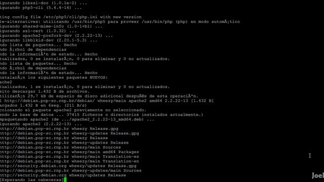 Instalación RaptorCache en Debian 7 смотреть онлайн