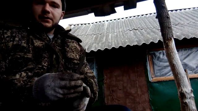VLOG| fun farm in the village| Моя скромная весёлая ферма) смотреть онлайн