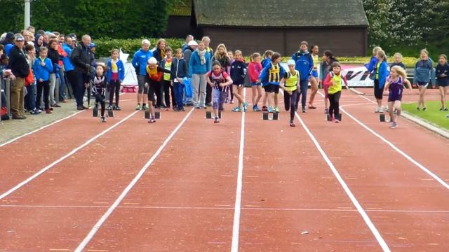 BvV pup/min - 60m PUP (reeks 5) смотреть онлайн