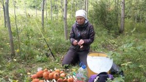 По грибы на Урале 2021.