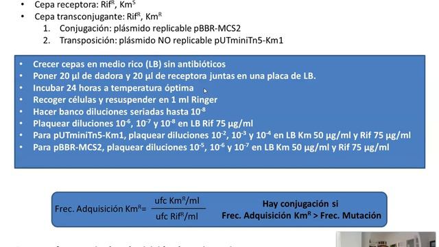 protocolo conjugacion смотреть онлайн