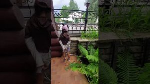 водопад в Белокурихе