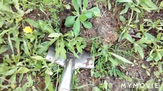 гуляем по полю. смотреть онлайн