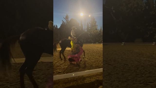 Испанские танцы лошадей #caballo #танцылошадей #лошади смотреть онлайн