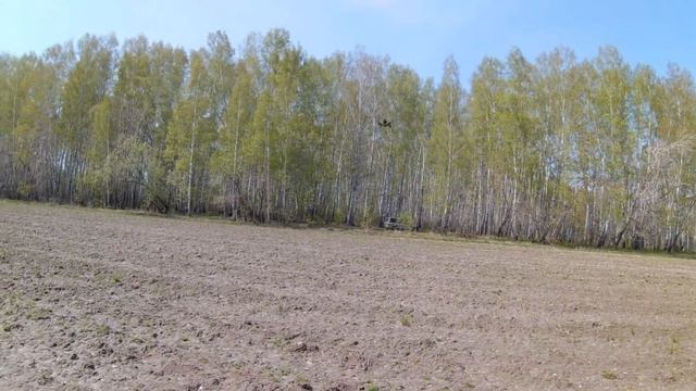 Первые полёты на Walkera 210 - снято на Runcam2 смотреть онлайн