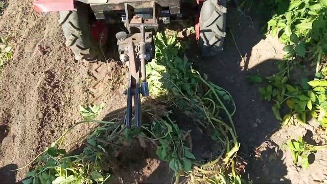 Мотоблок Угра с приводным адаптером АПМК 1 смотреть онлайн