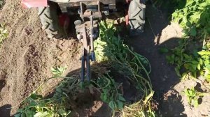 Мотоблок Угра с приводным адаптером АПМК 1