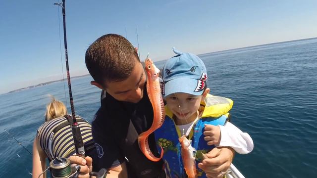 Sea Fishing Cornwall - Mixed Species fishing with the family. смотреть онлайн