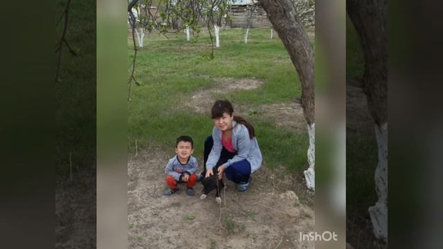 Поздравление на день рождения(2) смотреть онлайн