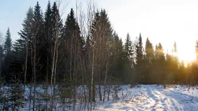 Прогулка от Верх-Сыры до Дикого поля / Природа Урала / Путешествуем по Пермскому краю смотреть онлайн