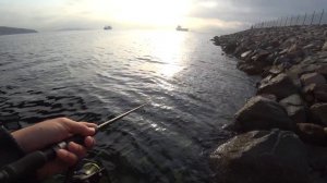 Рыбалка на терпуга. Владивосток