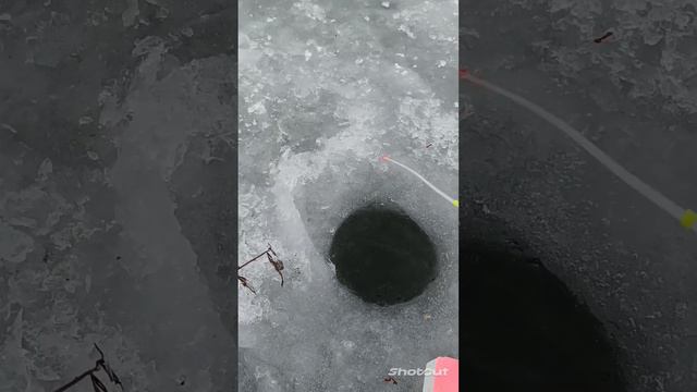 рыбалка смоленска смотреть онлайн