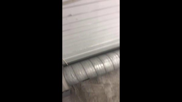 BB auto  в прямом эфире!