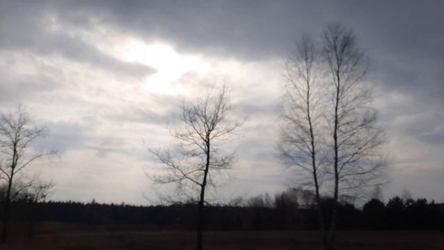 Mazowieckie Wykopki Garrett odcinek 111 смотреть онлайн