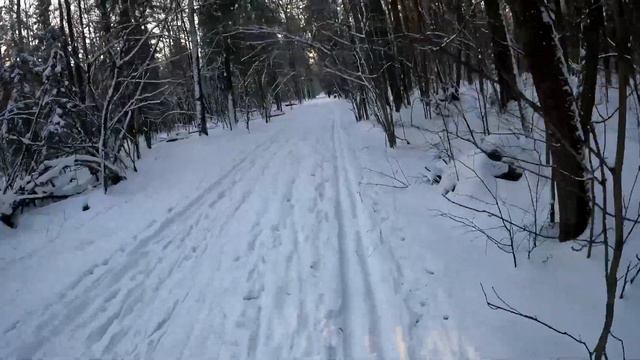 На лыжах в начале декабря в Лосиный остров! Полметра снега в Лосином острове!!! смотреть онлайн