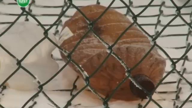 Разделяй и... планету спасай смотреть онлайн