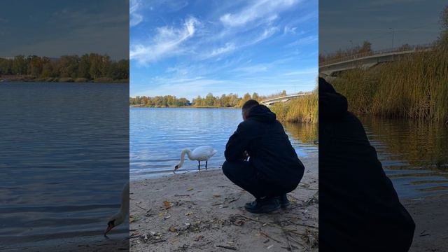 девочка не надо... смотреть онлайн
