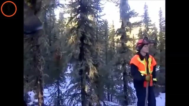 Звук из недр Земли в разных частях света смотреть онлайн