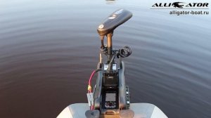 Haswing Cayman  B 55 Lbs GPS