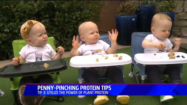 FOX5 San Diego - Penny Pinching Protein Ideas with Katie Ferraro смотреть онлайн