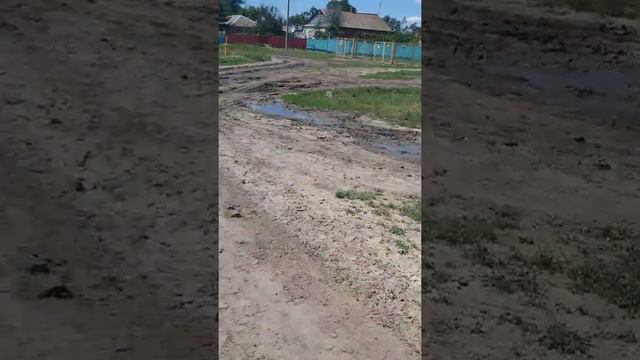 А где дорога?????)))))) смотреть онлайн