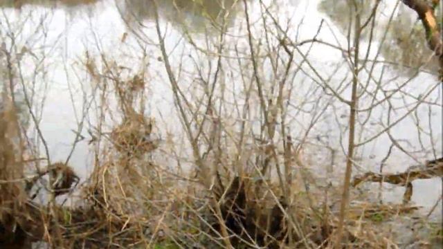 Ловля щуки на спиннинг. Техассская оснастка. Майский Техасс _ 04.05.2013 смотреть онлайн