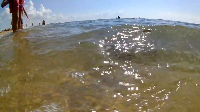 ЗМЕИ В ЧЕРНОМ МОРЕ. Змея в черном море, Крым, 2018 смотреть онлайн