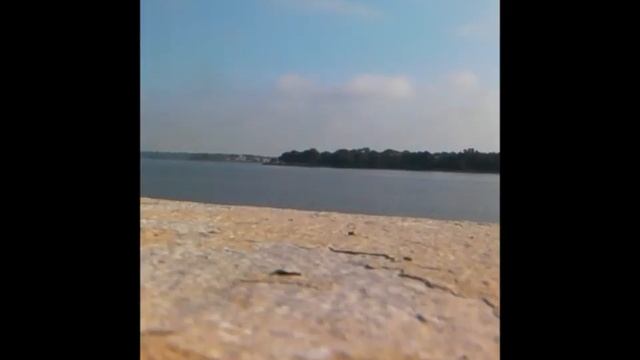 Dam Groovy смотреть онлайн