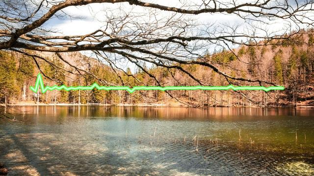 ТИМУР ХИДИРБЕКОВ - Кайфую 2024