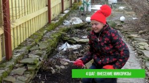 Простой уход за клумбой (цветником) ранней весной. Пышное цветение многолетников на клумбе.