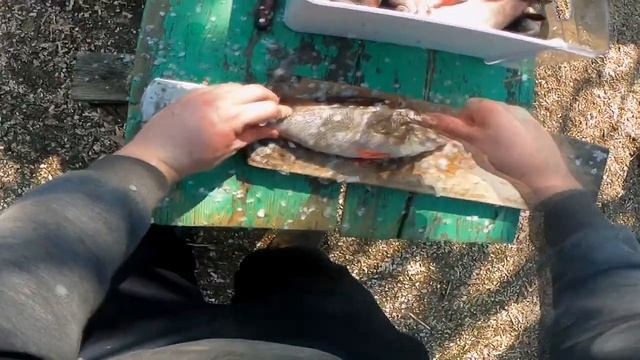 КАК БЫСТРО ПОЧИСТИТЬ РЫБУ ? ? Приспособление Для Чистки Рыбы \ Как Легко Почистить Окуня от Чешуи смотреть онлайн