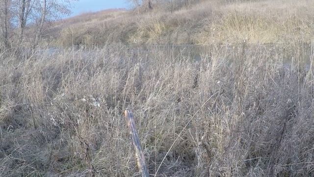 Охота на Утку с подхода 10 2018 ( Закрытие сезона на водоплавающую дичь ) смотреть онлайн
