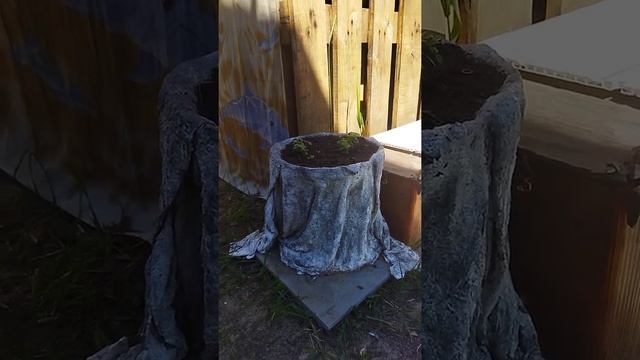 сад #своими руками#поделки#цемента#