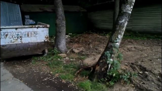 Собрание 2020 г.: Проблема мусора в СНТ