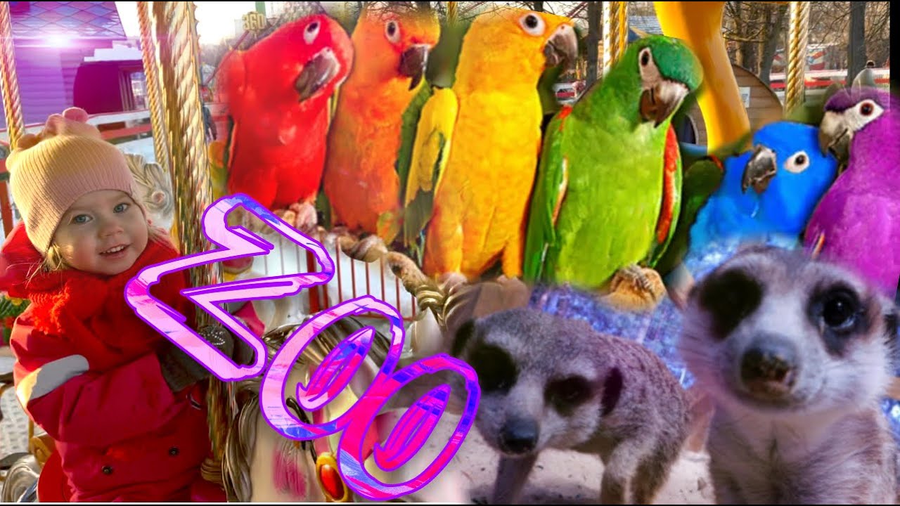 Влог Ева и Фло | Контактный зоопарк для детей. Гуляем, кормим, гладим, смотрим, играем с животными смотреть онлайн