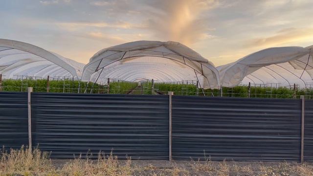 iPhone 12 pro max “ Raw Footages “ straight from the box. Ft. The California Farmlands. смотреть онлайн