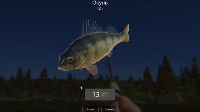 Рыбачки новички(русская рыбалка 4) смотреть онлайн