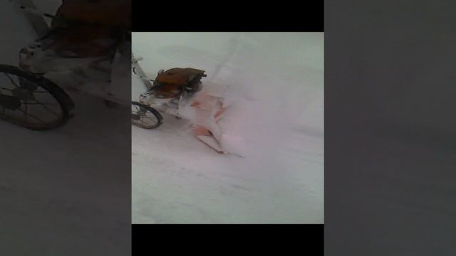 VID_20161112_125123 смотреть онлайн