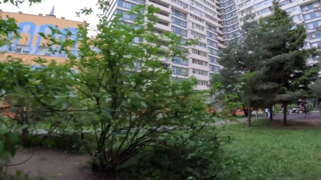 Fortline On Real Life