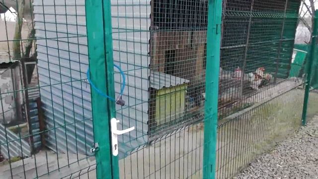 Эко-хуторок. Первое знакомство с базой отдыха. Обзорный ролик смотреть онлайн