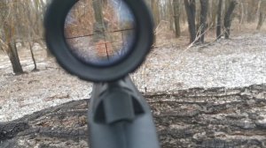 охота на дроздов с Hatsan striker edge