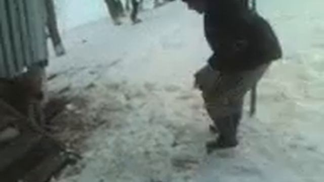 разминка с медведем смотреть онлайн