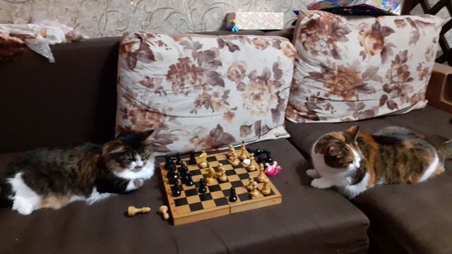 Остап сделал ход е2 е4 смотреть онлайн