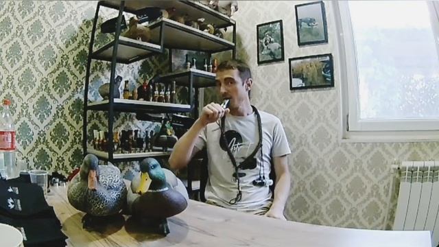 Утиные звуки, приветствие, осадка, возврат, призыв! смотреть онлайн