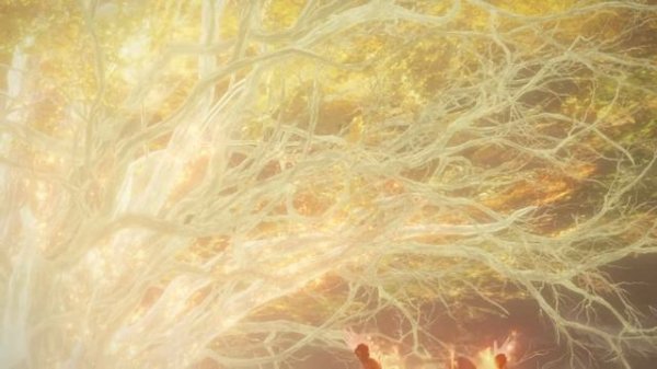 ELDEN RING™аниме