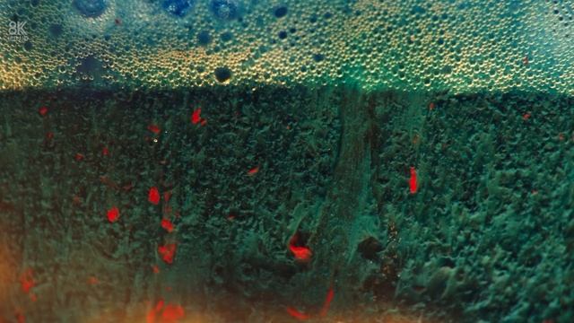 Abstract colors (4K 60 FPS) смотреть онлайн