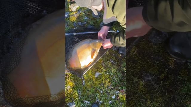 Мы с отцом были на рыбалке, спасибо батя за прекрасный день вместе. смотреть онлайн