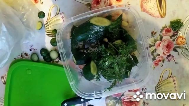 Растения в стиле китайского сада